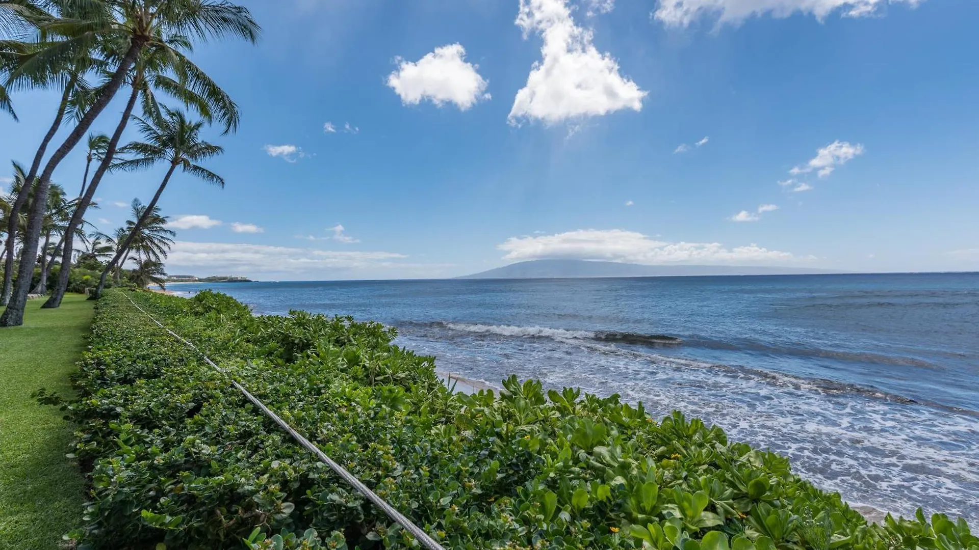 The Mahana Kahana 0*,