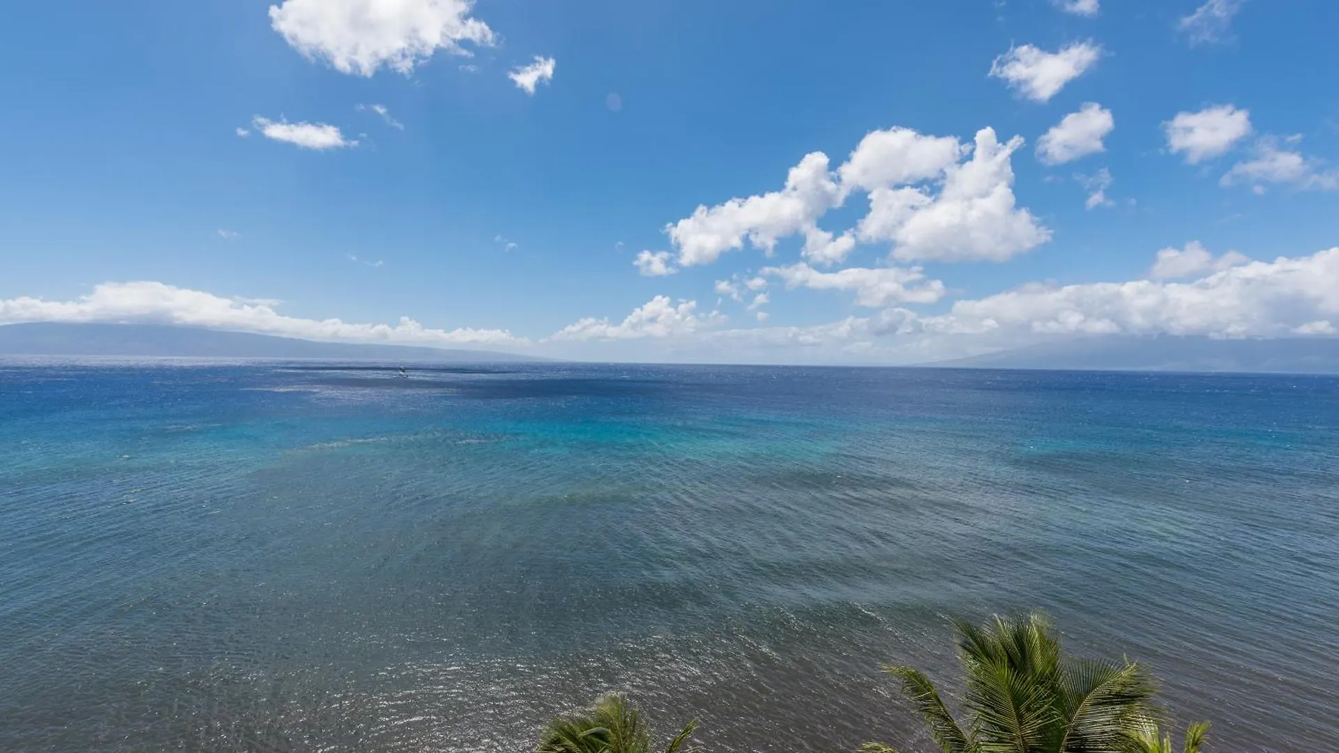 The Mahana Kahana 0*,