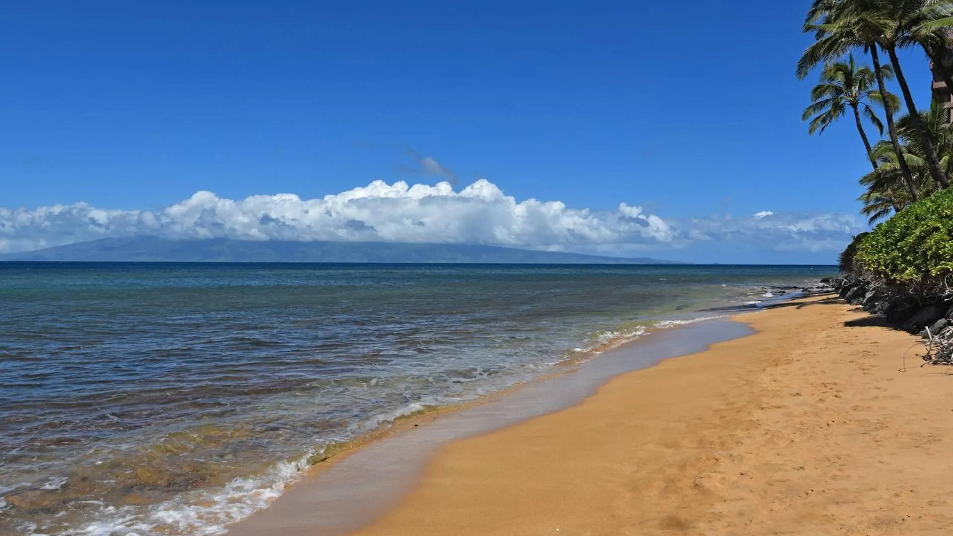 The Mahana Kahana 0*,